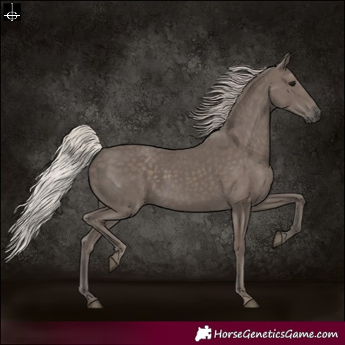 Horse Color:Silver Black 