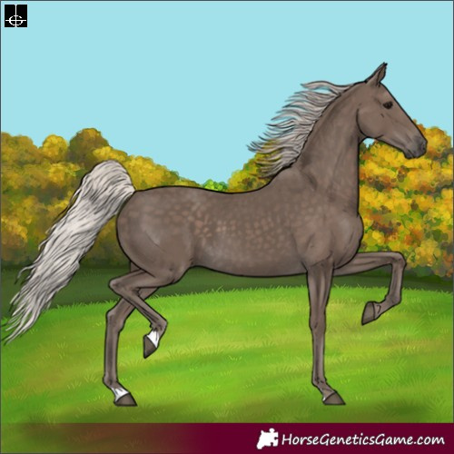 Horse Color:Silver Black 