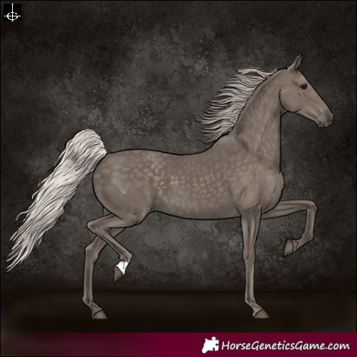 Horse Color:Silver Black