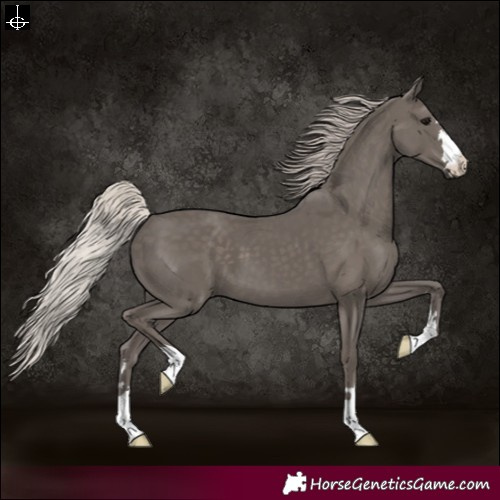 Horse Color:Silver Black 