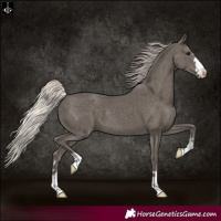 Horse Color:Silver Black 
