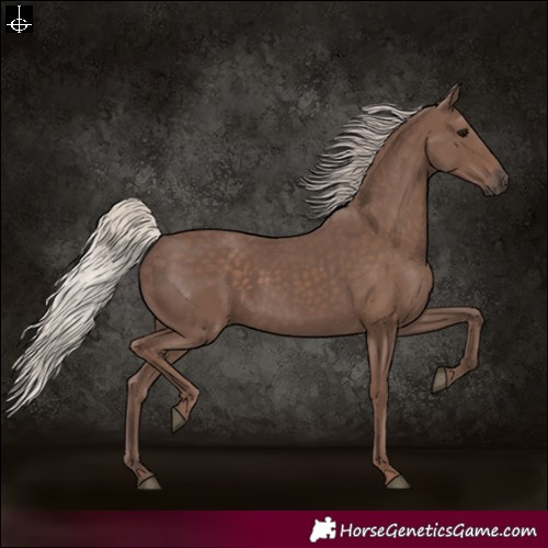 Horse Color:Silver Black 