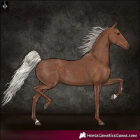 Horse Color:Silver Black 