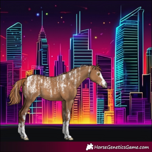 Horse Color:Powder White Gray Red Dun 