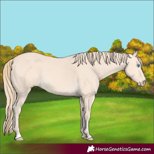 Horse Color:Perlino 