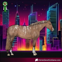 Horse Color:Powder White Liver Red Dun Rabicano 
