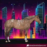 Horse Color:Powder White Liver Red Dun Rabicano 