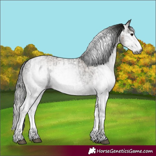 Horse Color:Gray White Spotted Black  and Gray White Spotted Classic Champagne 