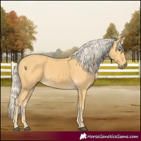 Horse Color:Palomino