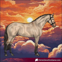 Horse Color:Bay Dun