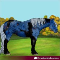 Horse Color:ERROR: UNKNOWN ANOMALY