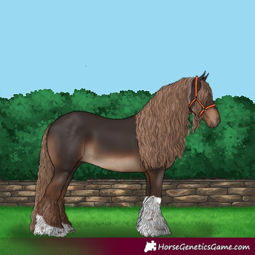 Horse Color:Liver Chestnut Tobiano Rabicano