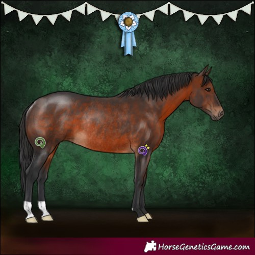 Horse Color:Brown Rabicano 