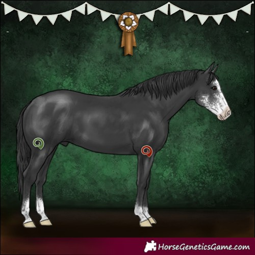 Horse Color:Black Sabino