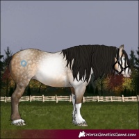 Horse Color:Gray Sable Cream Champagne Tobiano 