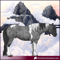 Horse Color:Blue Roan Tobiano 