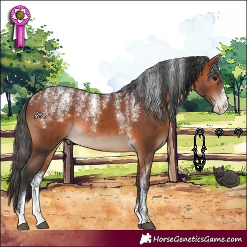 Horse Color:Powder White Bay 