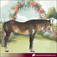 Horse Color:Silver Smoky Black Sabino