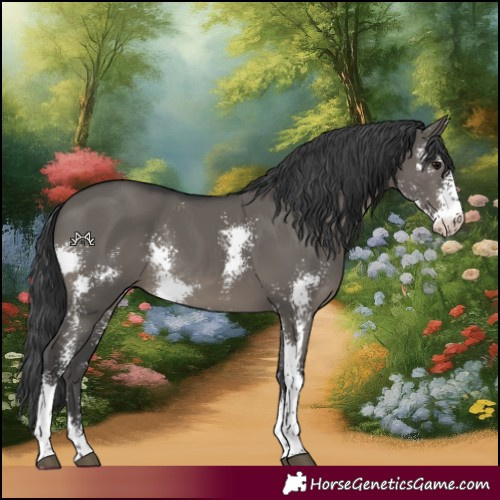 Horse Color:Grullo Sabino Rabicano 