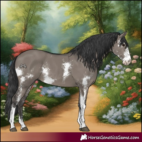 Horse Color:Grullo Sabino Rabicano 