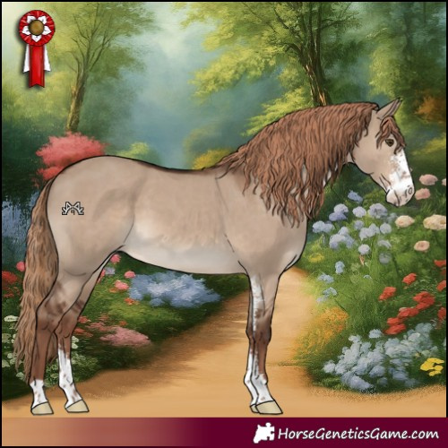 Horse Color:Liver Red Dun Sabino 
