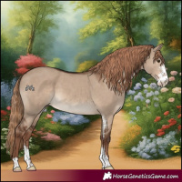 Horse Color:Liver Red Dun Sabino 