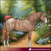 Horse Color:Powder White Red Dun 