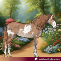 Horse Color:Red Dun Sabino Rabicano 