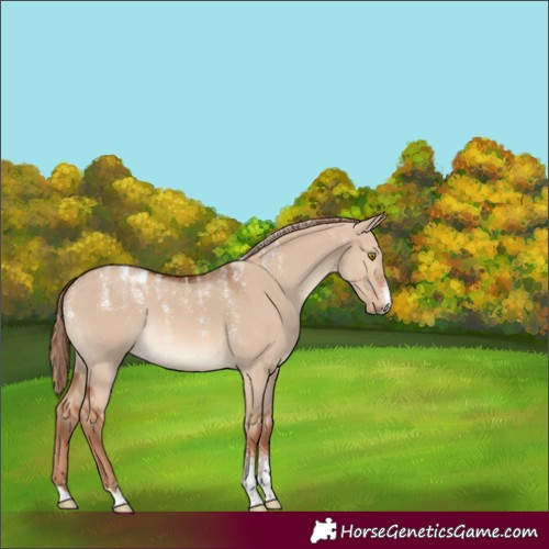 Horse Color:Powder White Red Dun 