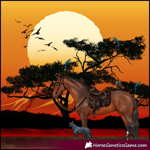 Horse Color:Unknown 