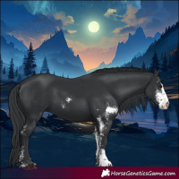 Horse Color:Black Sabino