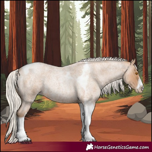 Horse Color:Silver Blue Roan Pearl Tobiano Frame 
