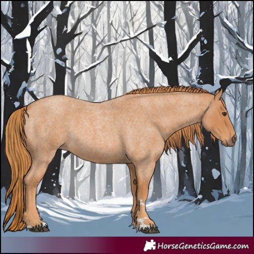 Horse Color:Red Roan 