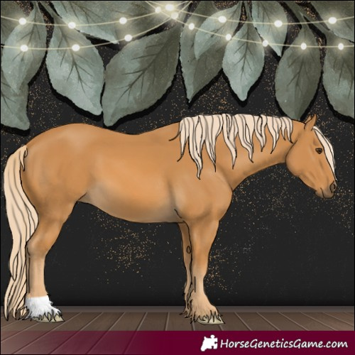 Horse Color:Palomino 