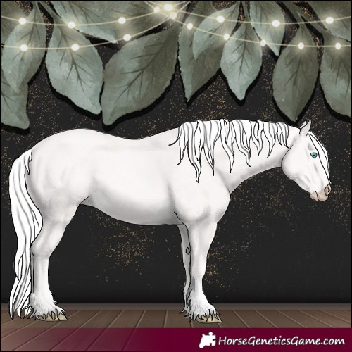 Horse Color:Cremello 