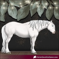 Horse Color:Cremello 