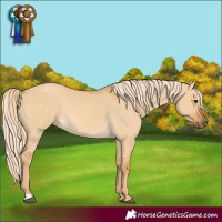 Horse Color:Palomino Dun Rabicano 