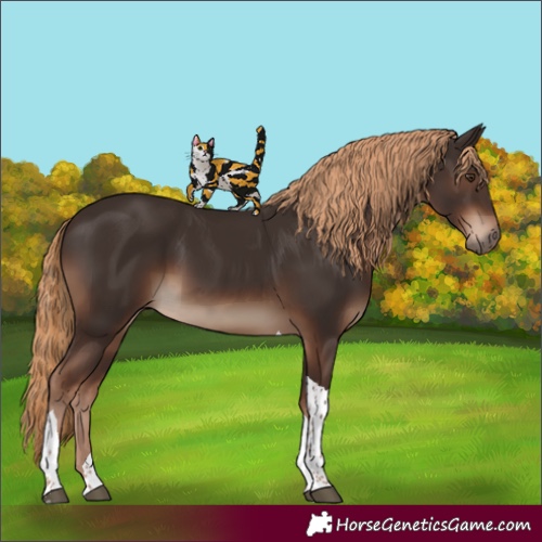 Horse Color:Liver Chestnut Tobiano Rabicano 