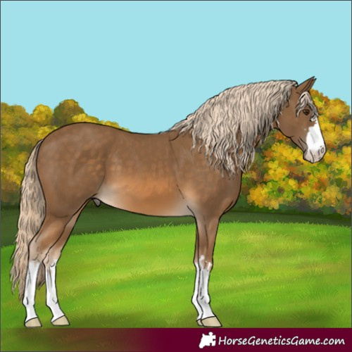 Horse Color:Chocolate Palomino