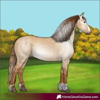 Horse Color:Gray Red Dun