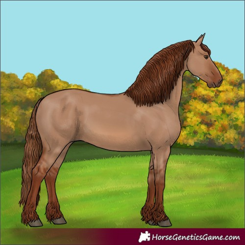 Horse Color:Red Dun Rabicano