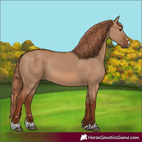 Horse Color:Red Dun Rabicano