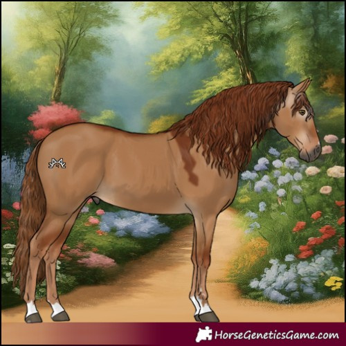 Horse Color:Gray Red Dun 