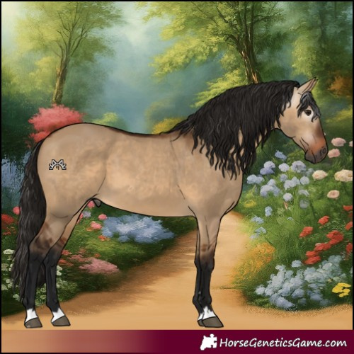 Horse Color:Gray Bay Dun 