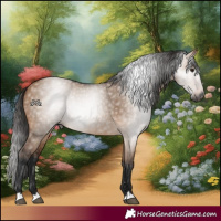 Horse Color:Gray Bay Dun 