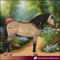 Horse Color:Gray Bay Dun