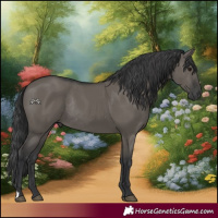 Horse Color:Grullo Rabicano