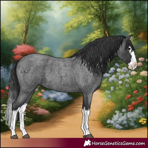 Horse Color:Blue Roan Splash 