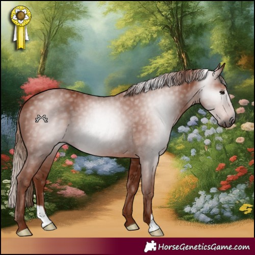 Horse Color:Gray Chestnut 