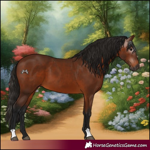 Horse Color:Gray Bay 